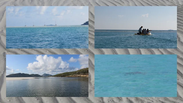 Sailing in the Whitsundays - Stingrays at Whitehaven Beach