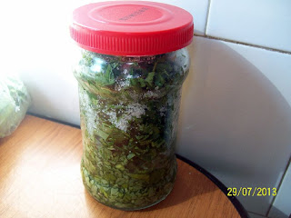 PATRUNJEL VERDE PENTRU IARNA