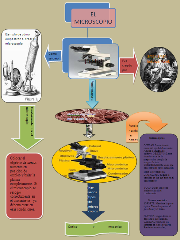 Esquemas mentales: MAPA DE IDEAS