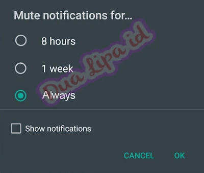 Fitur terbaru WhatsApp Always Mute Notification atau Selalu Bisukan Notifikasi
