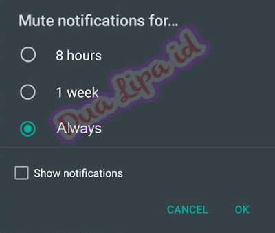 Fitur terbaru WhatsApp Always Mute Notification atau Selalu Bisukan Notifikasi
