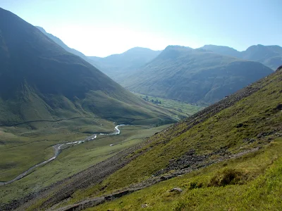 wild views of lakeland