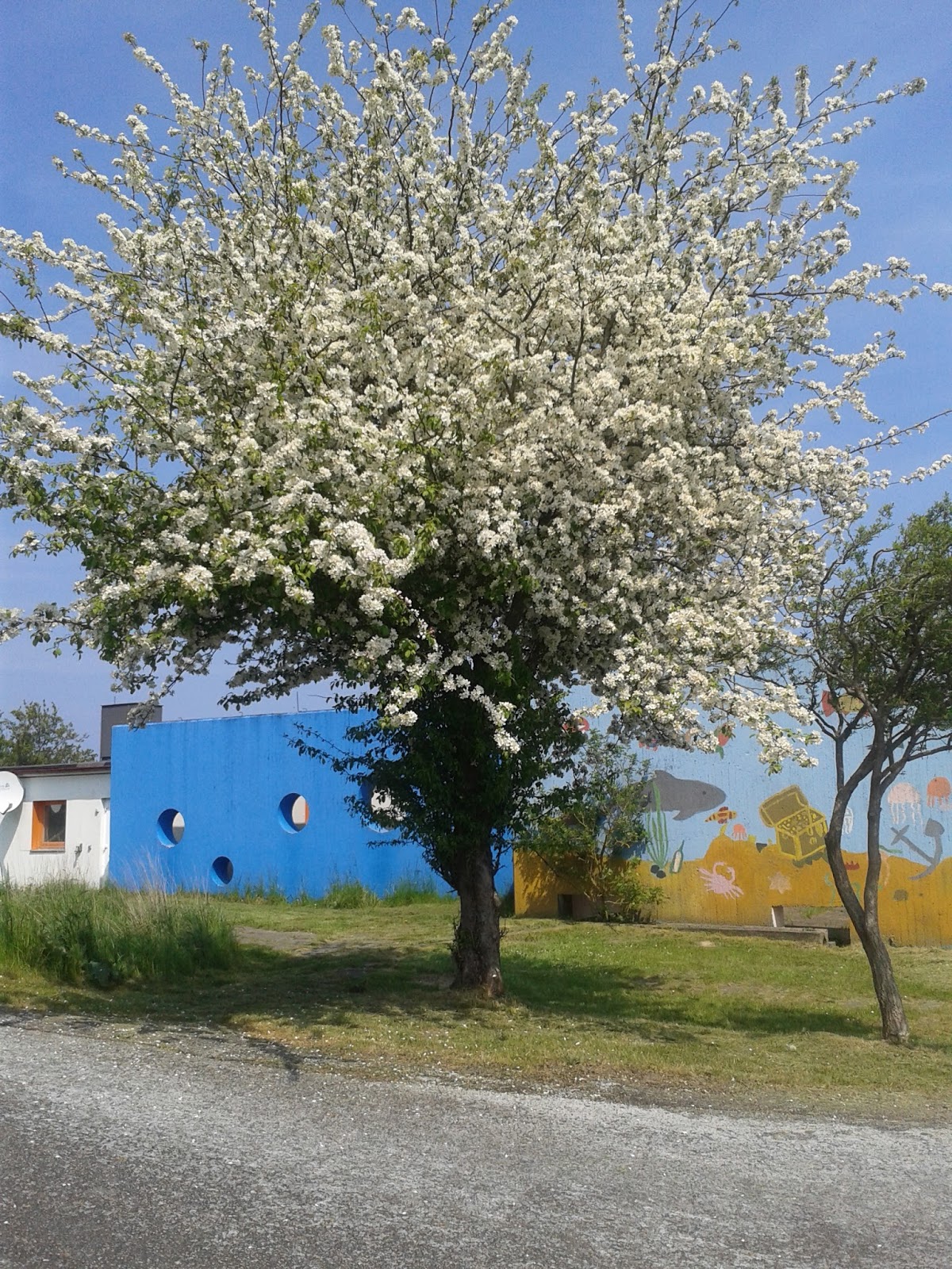 Entschleunigung Im Bezaubernden Maasholm