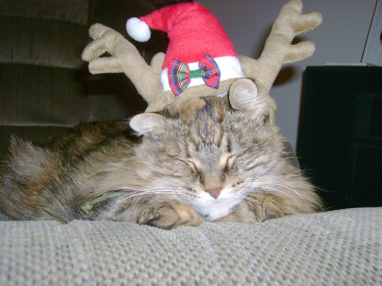 Christmas Nostalgia | My Darling Days Christmas Nostalgia | My Darling Days