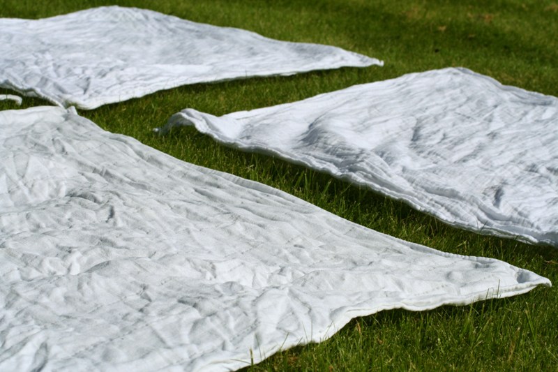 Saídos da Concha Corar ao Sol Bleaching in the Sun