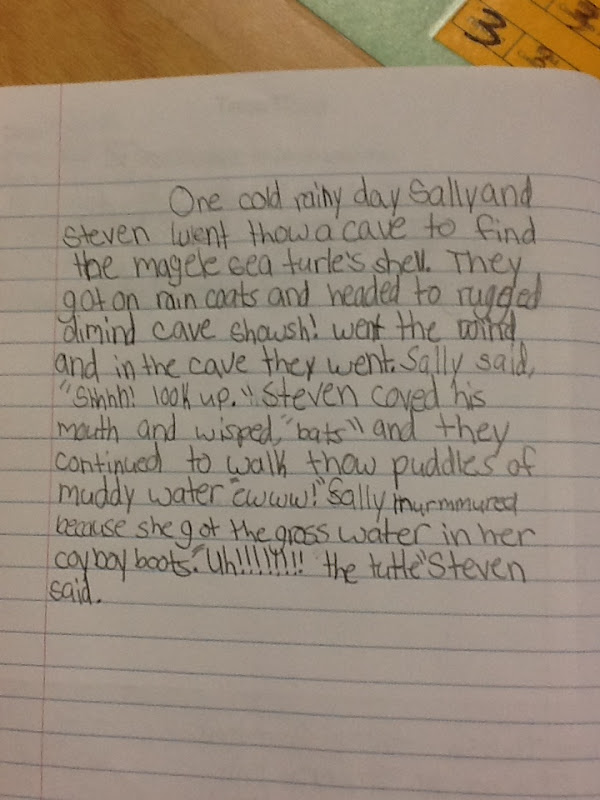 Life in 4B...: Flagging Our Thoughts, Problem/Solution Text Structure