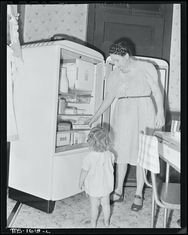 25 Vintage Photos Show What People Often Had in the Refrigerators From