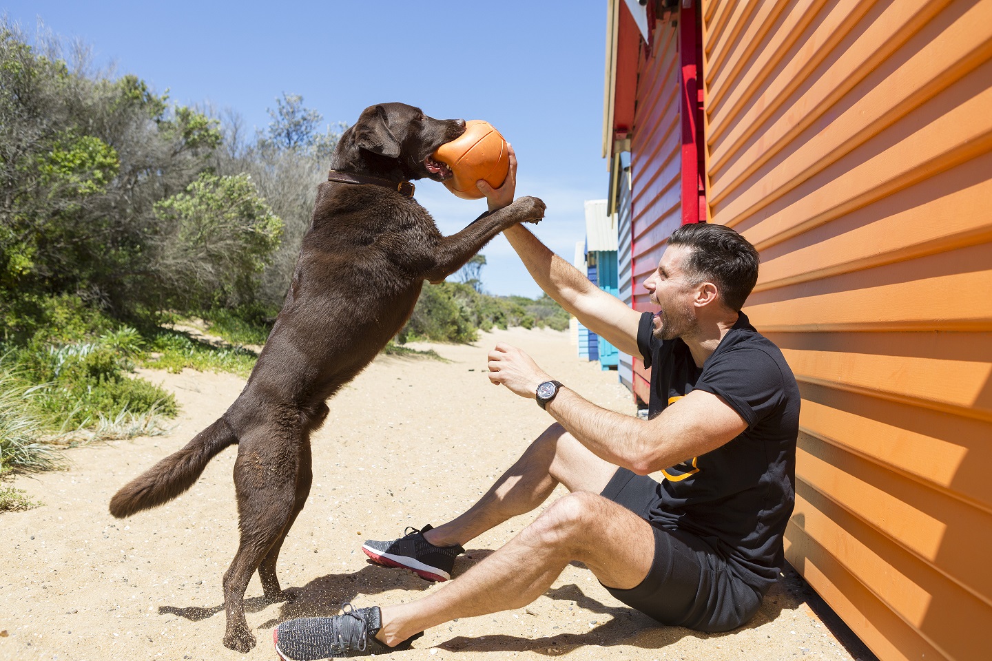 Petbarn's Biggest Pet Loser kicks off March 1 Australian Dog Lover