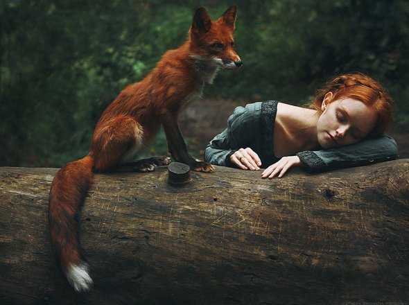 Alexandra Bochkareva fotografia mulheres garotas ruivas raposas fantasia contos fada mulheres modelos animais emoção sensibilidade neve