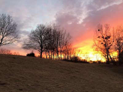 Disc Golf Zen Moment