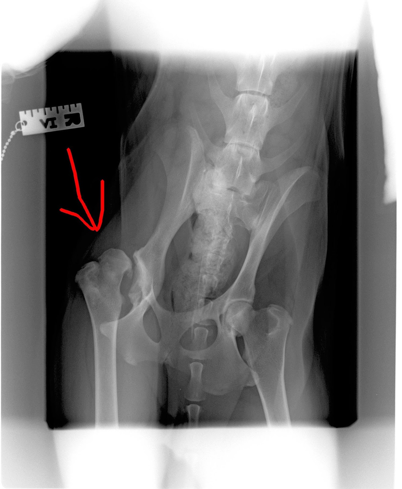 Musings of a country woman: January 2016