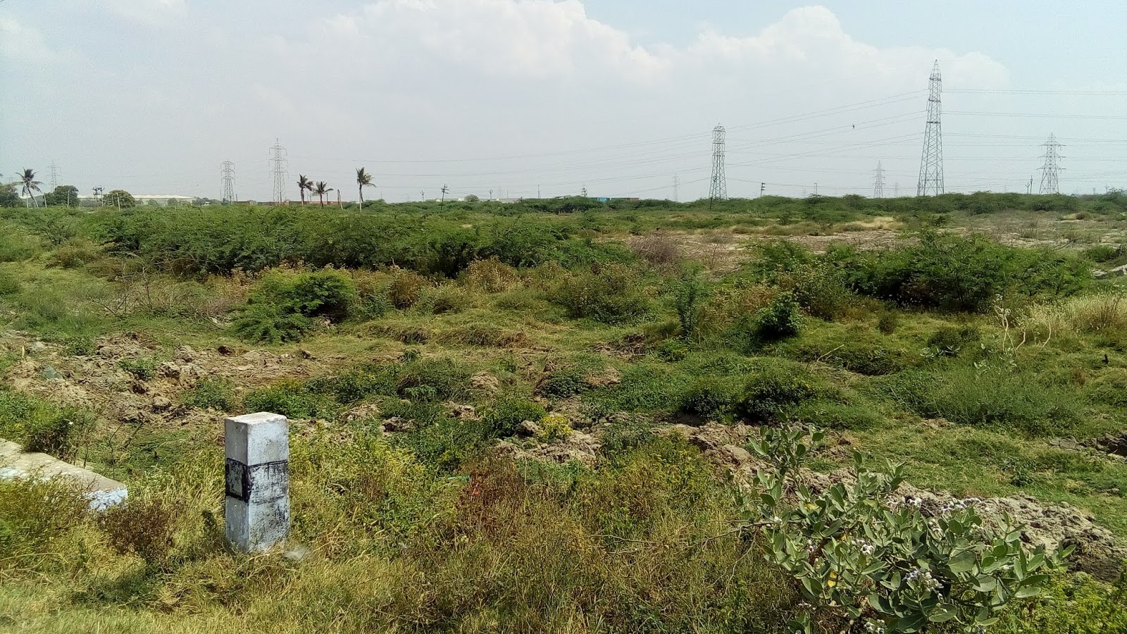 SRI BALAJI REALS 34 Acres Commercial Land for Sale near Tuticorin Port