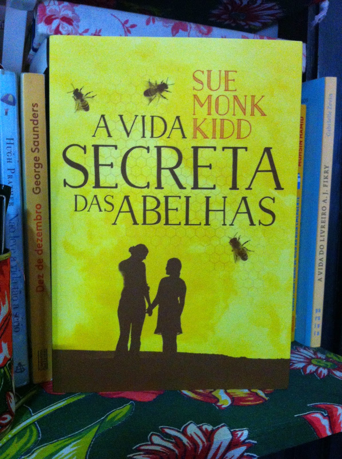 A Vida Secreta das Abelhas Resenha