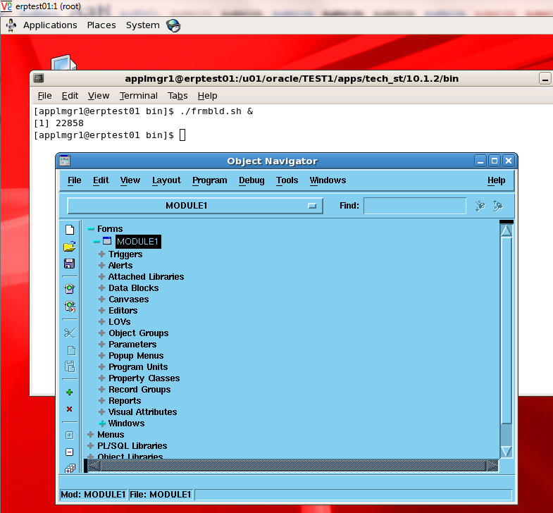 How to Run Form Builder from OracleAS 10.1.2 with Oracle Applications