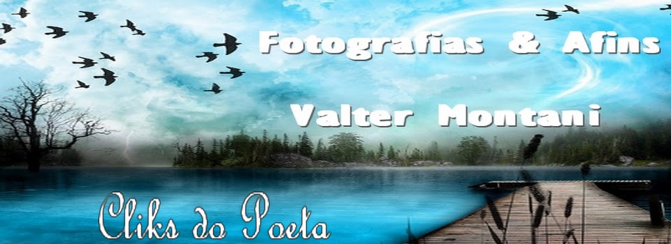 Fotografias