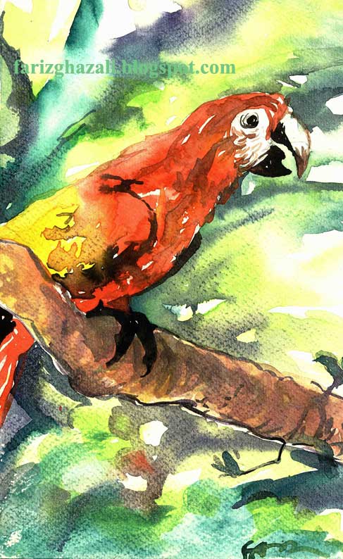 Farizghazali Water Colour Burung Kakak Tua Gambar Kartun