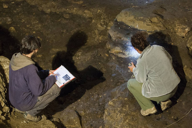 New excavations confirm Spain's El Pendo Cave as a continuous Neanderthal settlement
