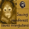 SAVE ORANG UTAN  !!!!!!!!