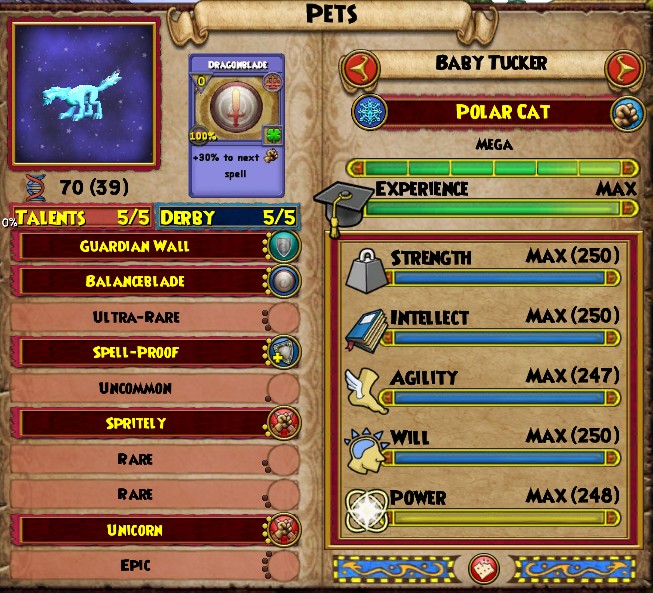 Stars of the Spiral: Wizard101 Test Realm Notes