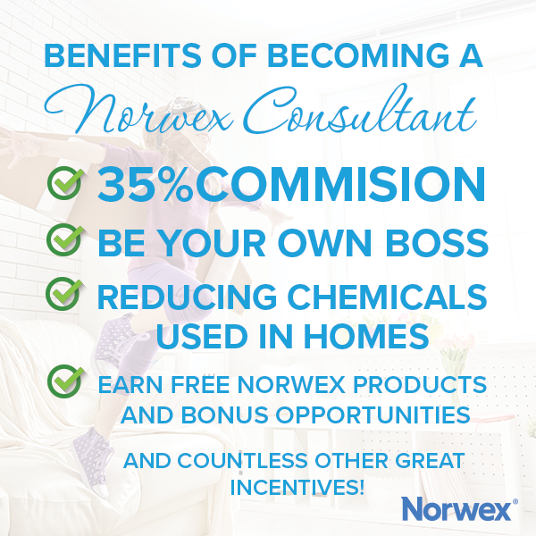 Rebecca Lange Norwex Independent Sales Consultant Start your Norwex Business Join my Team!