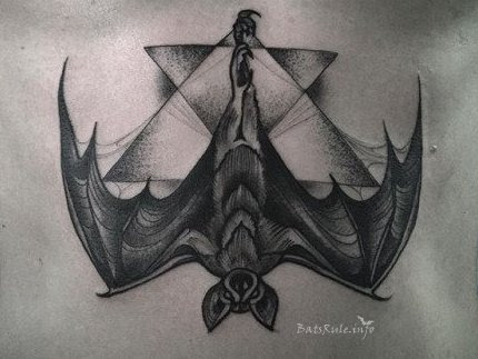 Tattoo uploaded by ciaraoro  Flying fox in tree  Tattoodo