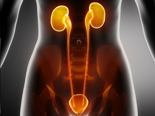 Adenom de prostată urinare frecventă în timpul zilei