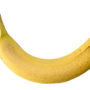 Mahasiswa UII manfaatkan batang pisang jadi biohidrogen