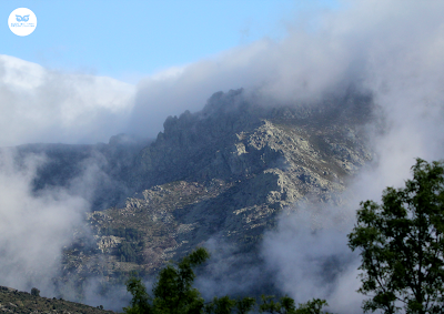 Paisaje de La Pedriza