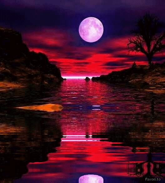 Se você conhece o autor desta imagem, por favor nos informe para que possamos atribuir-lhe os devidos créditos. Obrigado. A lua refletida na água do mar.