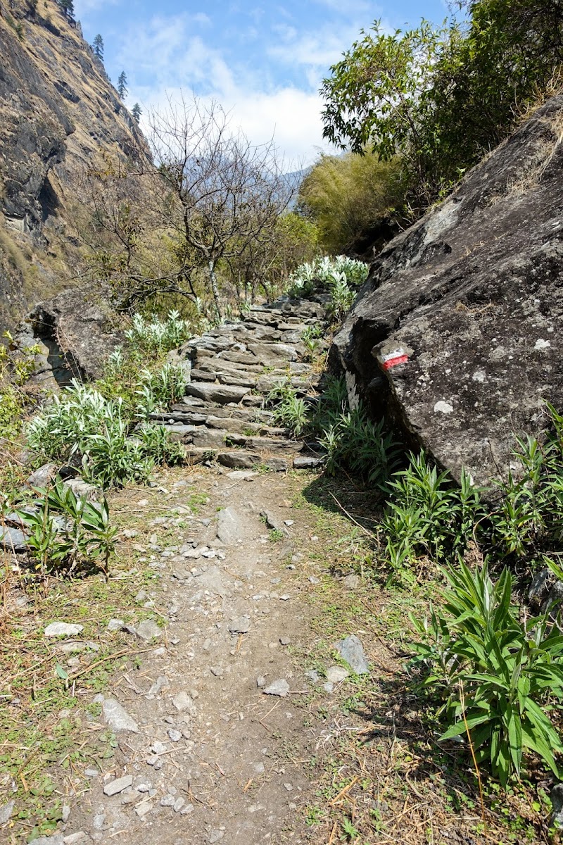 200км по красно-белым черточкам.. Around Annapurna. март-апрель 2017