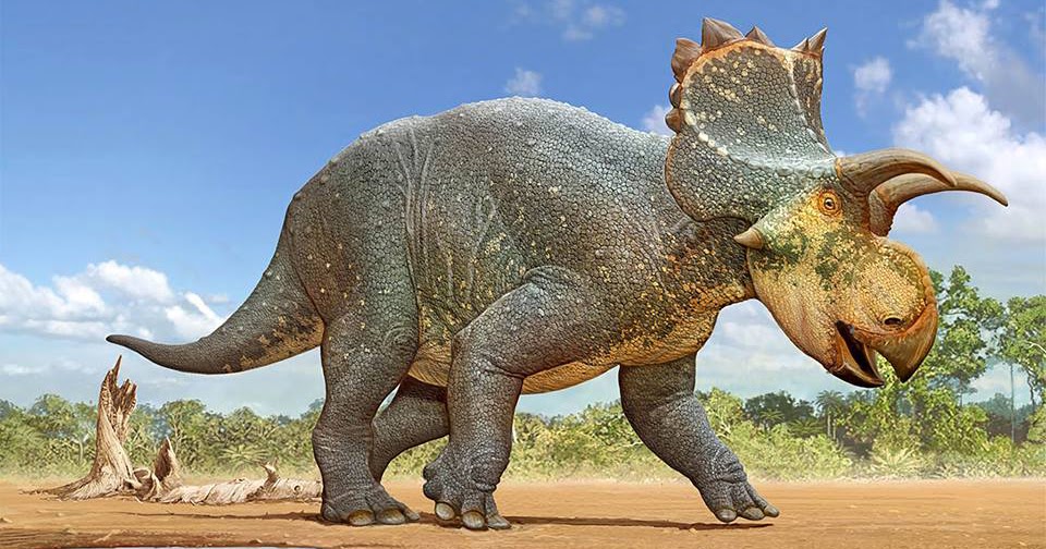 crittendenceratops-kzyzanowskii-um-novo-dinossauro-ceratops-deo