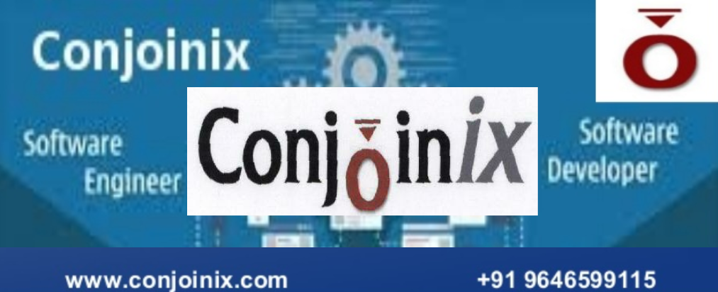 Web Development, Web Design in Chandigarh - Conjoinix
