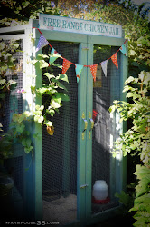 coop coops chicken farmhouse