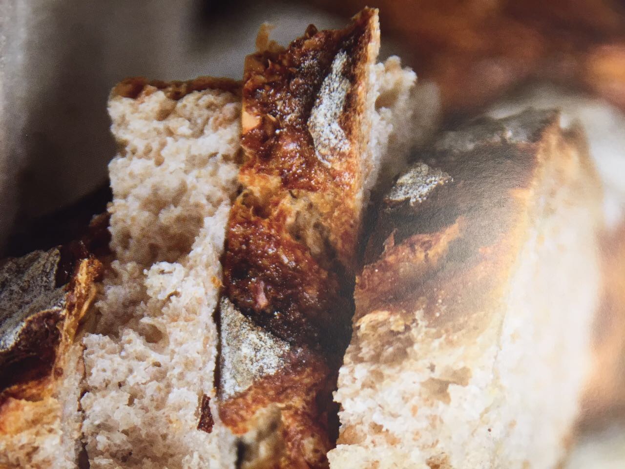 [Rezension] Brotbackbuch Nr. 1 Grundlagen und Rezepte für ursprüngliches Brot Lutz Geißler