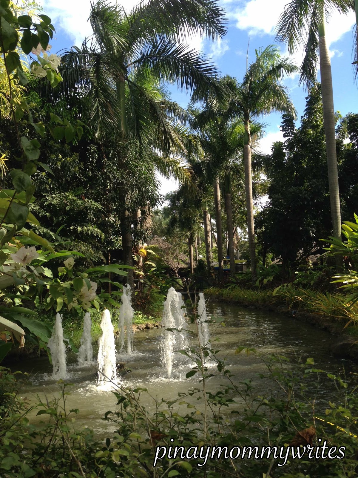 RAVE of Pasig: Rainforest in the city - Pinay Mommy Writes