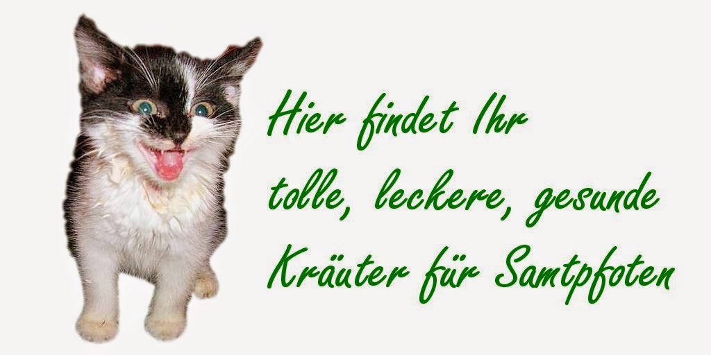 http://www.tierheilpraktikerin-shop.de/Kraeuter-fuer-Katzen/