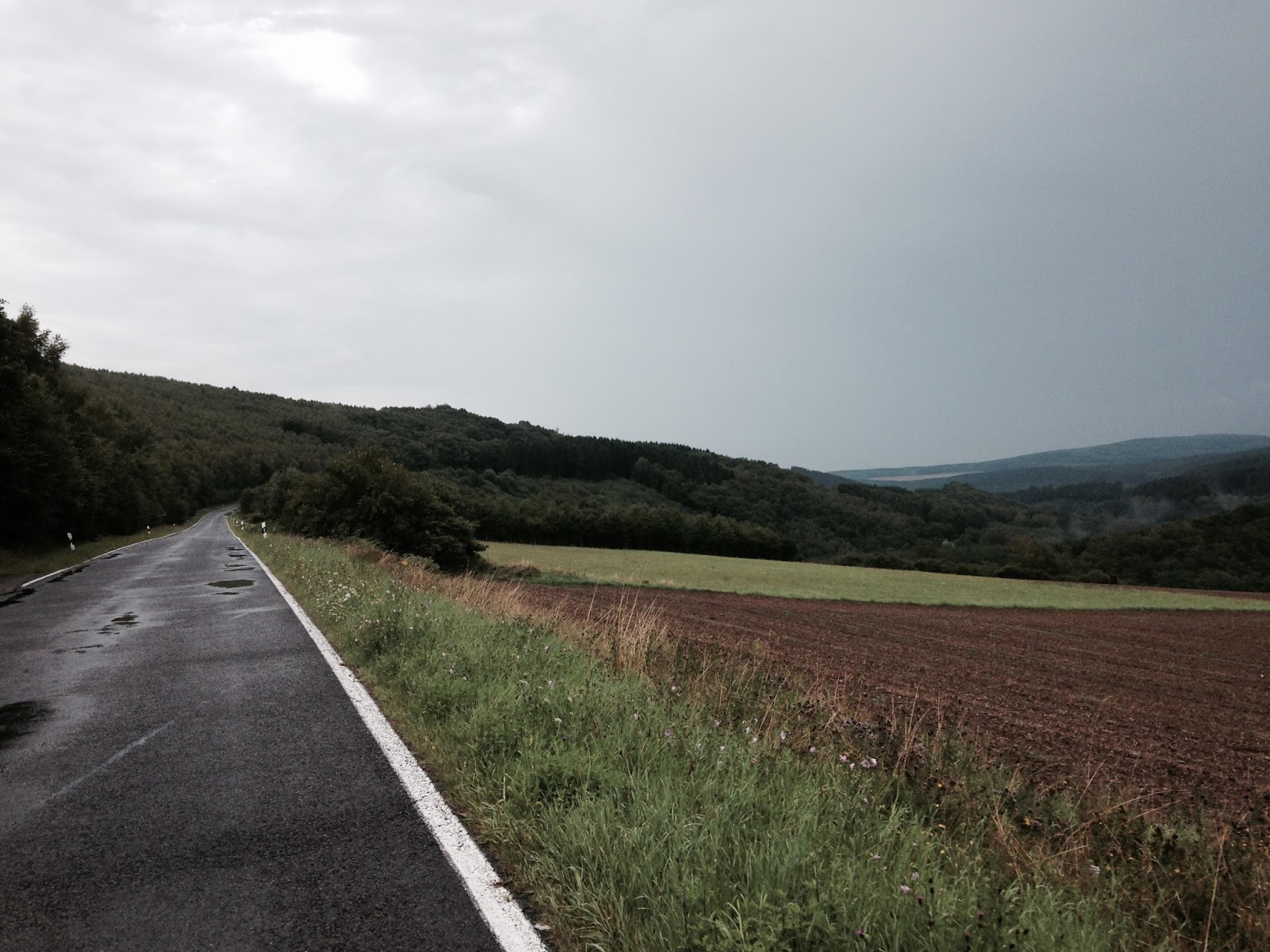 Elfenkunst Von Nicole Elflein Januar 2020