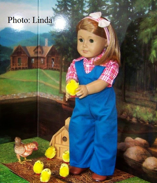 Living A Doll's Life DIY Kit's Chicken Keeping Set