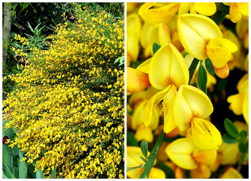 Ppq Akute Nachrichten Aus Dem Notstandsgebiet Angst Analyse