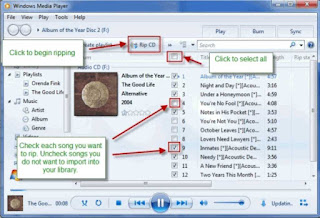 rip cd in windows media