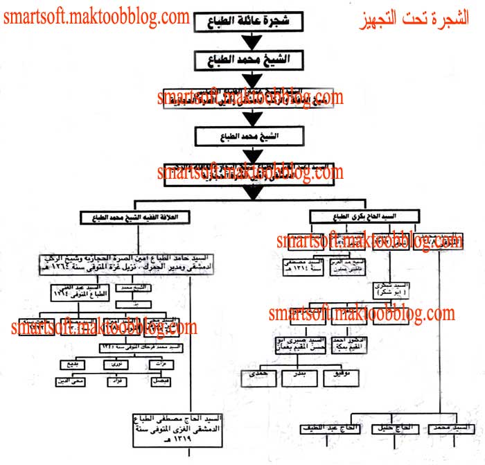 مدونة الاقتصاد الفلسطيني د ماهر تيسير الطباع شجرة عائلة الطباع