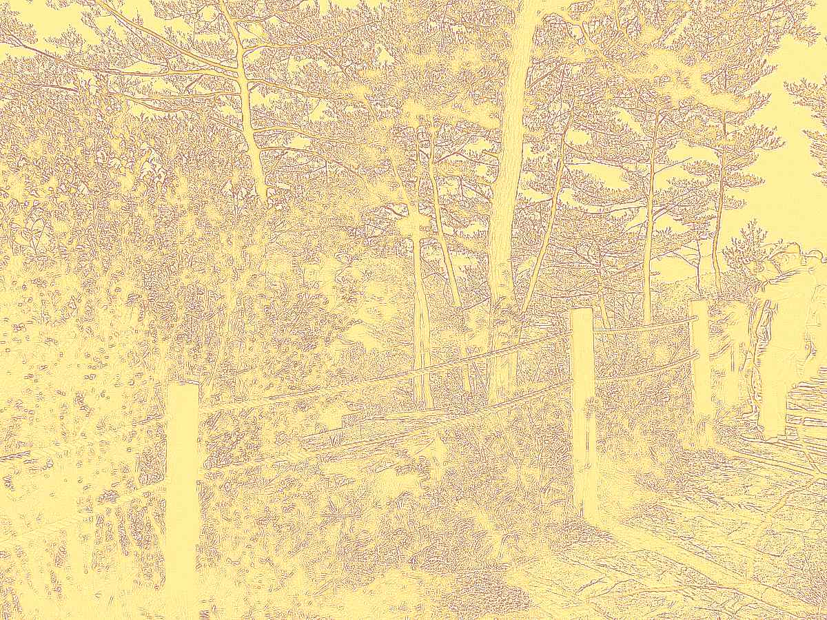 화순 영구산 운주사 화순 영구산 운주사