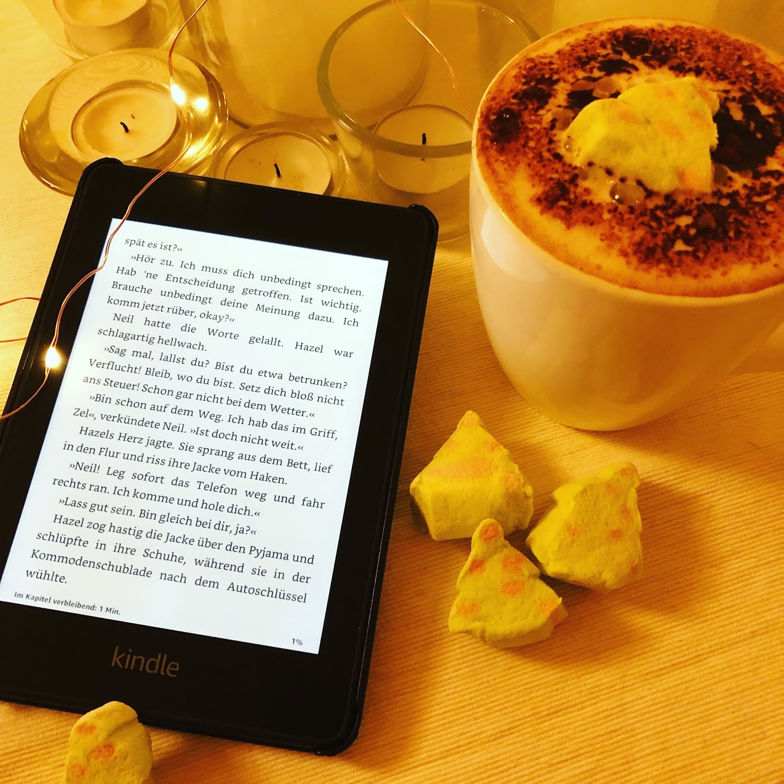 Insel Bucherei Pirckheimer Gesellschaft