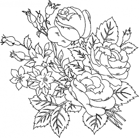 Pictures Of Flowers For Colouring Pictures Of Flowers For Colouring