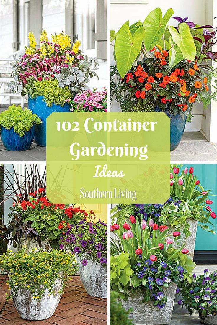 Enjoy nonstop color all season long with these container gardening