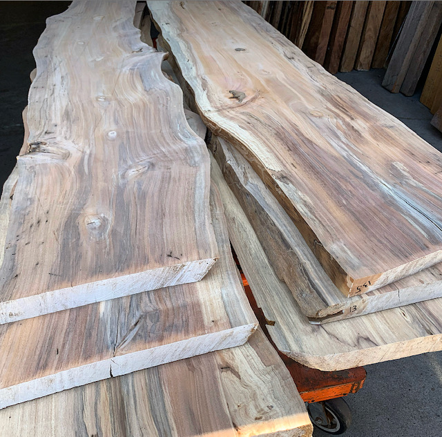 Tropical Exotic Hardwoods Spalted Alder!