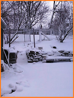 Large blanket of snow covering the yard.