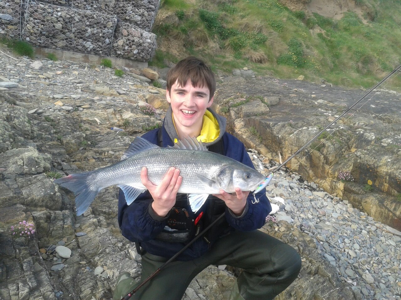 Cork Harbour Angling Hub Young Bass anglers show the way....