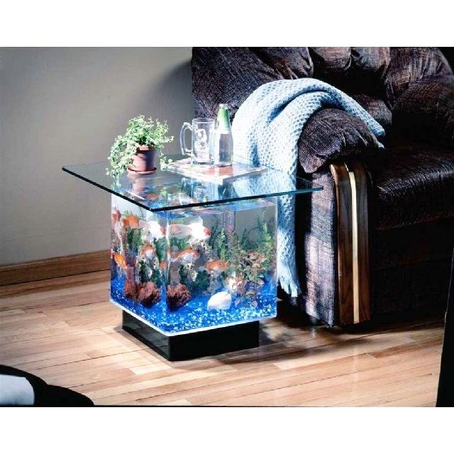 Jenis Kaca Aquarium Terbaik Dengan Harga Murah Infoikan Com