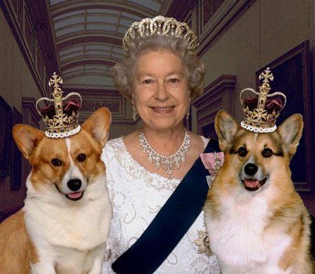 queens last corgi